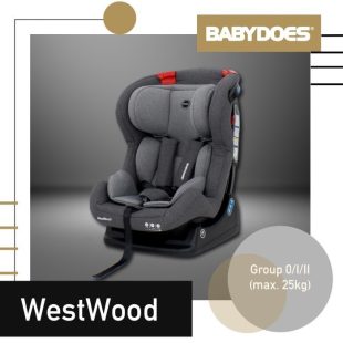 Babydoes Westwood Carseat – Grey