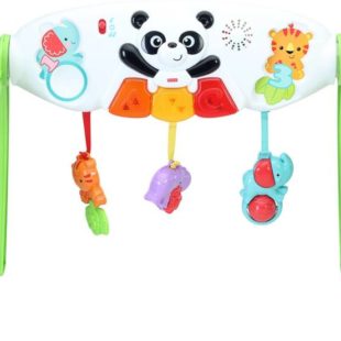 Fisher Price Grow With Me Gym